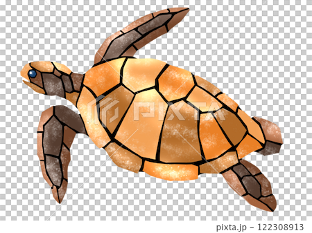 ウミガメの綺麗なタイル画風切り絵イラストのイラスト素材 [122308913