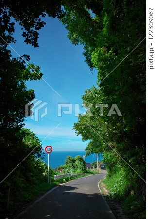 夏の海へ続く道（松江市） 122309067