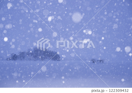 雪降る日の湖 122309432