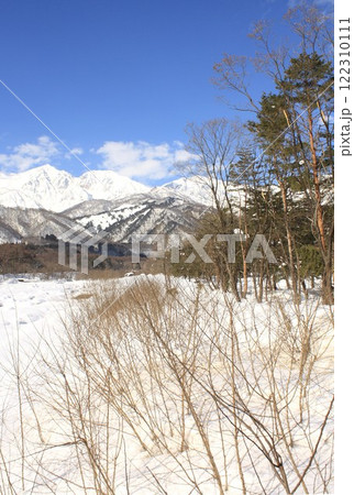 冬晴れの北アルプス白馬三山と山麓に広がる信州白馬村の山林と雪原 冬晴れの北アルプス白馬三山と山麓に広がる信州白馬村の山林と雪原 122310111