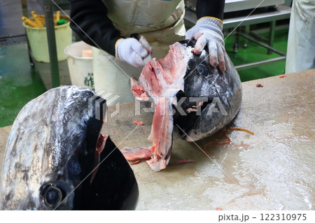 マグロの解体 本マグロのず肉の切り出し マグロの解体 本マグロのず肉の切り出し 122310975