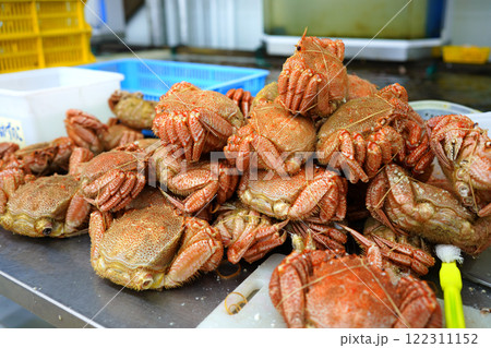 出荷を待つ山積みの毛がに 122311152