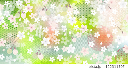 和柄　桜　春　背景 122311505