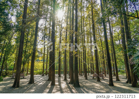 上海中山公園 上海中山公園 122311713