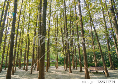 上海中山公園 上海中山公園 122311714