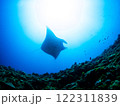 青い海とダイバーと 122311839