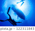 青い海とダイバーと 122311843