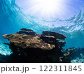 青い海とダイバーと 122311845