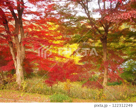 旧名鉄三河線広瀬駅の紅葉風景 旧名鉄三河線広瀬駅の紅葉風景 122312249
