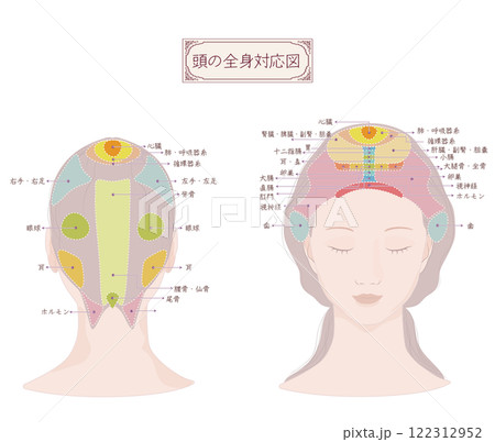 頭の全身対応図・頭頂部・前頭部・後頭部のマッサージやお手入れに役立つ図 頭の全身対応図・頭頂部・前頭部・後頭部のマッサージやお手入れに役立つ図 122312952
