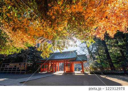 香取神宮の紅葉と総門 122312978