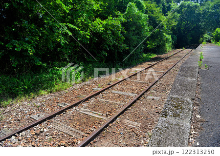 中国地方・旧国鉄倉吉線跡・竹林の廃線跡の入口、泰久寺駅のホームと線路のレール・鳥取県倉吉市(1) 122313250