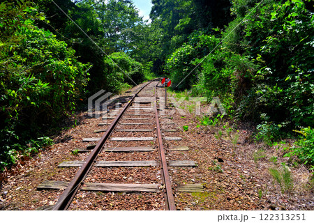中国地方・旧国鉄倉吉線跡・泰久寺駅跡から竹林の廃線跡へ線路を歩くイメージ・鳥取県倉吉市(1) 中国地方・旧国鉄倉吉線跡・泰久寺駅跡から竹林の廃線跡へ線路を歩くイメージ・鳥取県倉吉市(1) 122313251