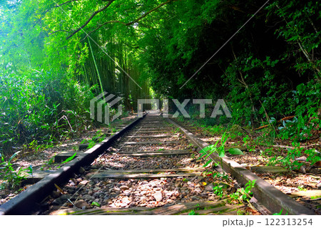 中国地方・旧国鉄倉吉線跡・泰久寺駅跡から竹林の廃線跡へ線路を歩くイメージ・鳥取県倉吉市(4) 中国地方・旧国鉄倉吉線跡・泰久寺駅跡から竹林の廃線跡へ線路を歩くイメージ・鳥取県倉吉市(4) 122313254