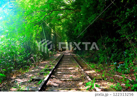 中国地方・旧国鉄倉吉線跡・泰久寺駅跡から線路を進むと見えてくる、竹林の入口・鳥取県倉吉市(2) 122313256