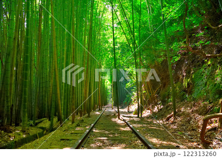 中国地方・旧国鉄倉吉線跡・泰久寺駅跡・非日常的な幻想の風景、竹林の中の廃線跡・鳥取県倉吉市(4) 122313260