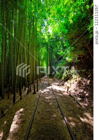 中国地方・旧国鉄倉吉線跡・日本一美しい廃線跡と言われる竹林の中の幻想的な風景・鳥取県倉吉市(2) 中国地方・旧国鉄倉吉線跡・日本一美しい廃線跡と言われる竹林の中の幻想的な風景・鳥取県倉吉市(2) 122313267