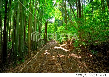 中国地方・旧国鉄倉吉線跡・日本一美しい廃線跡と言われる竹林の中の幻想的な風景・鳥取県倉吉市(6) 122313271