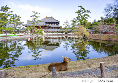 東大寺　鹿と中門と大仏殿 122313381