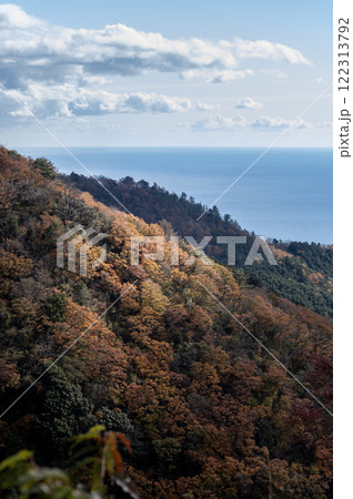 湯河原町の椿ラインの椿台から見る紅葉の景色 122313792