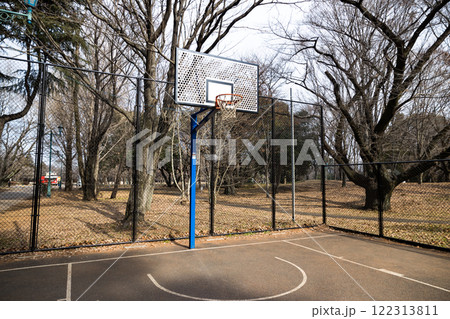 彩の森入間公園 バスケットゴール 彩の森入間公園 バスケットゴール 122313811