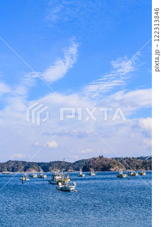 宮城県女川の小さな漁港 宮城県女川の小さな漁港 122313846