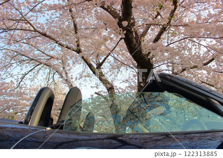 満開の桜とオープンカー 満開の桜とオープンカー 122313885