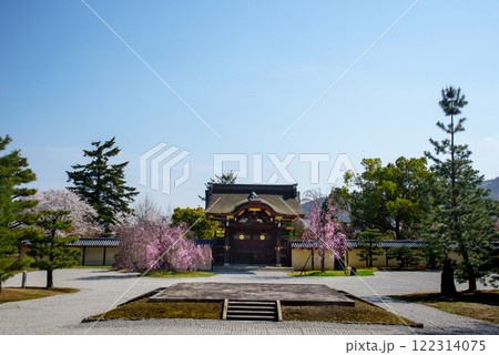 春の枝垂れ桜が満開になった大覚寺 122314075
