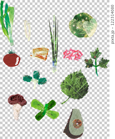 各種蔬菜的插圖集 各種蔬菜的插圖集 122314080