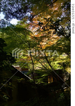箕面公園の紅葉（大阪市箕面市） 122314451