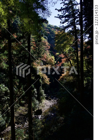 箕面公園の紅葉（大阪市箕面市） 122314533