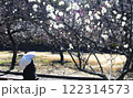 梅園を観賞する女性 122314573