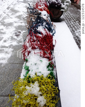 【エストニア】雪が積もった青・赤・緑・黄色のカラフルな植木（タリン） 122314578