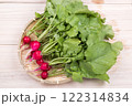 笊に載せた収穫した二十日大根 122314834