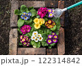 花壇の花への水やり 122314842