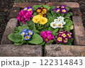 レンガの花壇の花 122314843