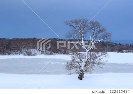 冬の大沢内ため池（青森県北津軽郡中泊町） 122315454