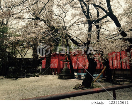 桜と鳥居のレトロ風景 122315651