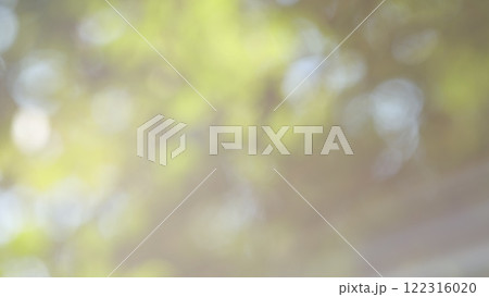 Forest Is A Natural Resource And Place For Recreation. Rich Green Leaves Of A Tree Waving. Travel Vacation Nature Concept. Bokeh. Forest Is A Natural Resource And Place For Recreation. Rich Green Leaves Of A Tree Waving. Travel Vacation Nature Concept. Bokeh. 122316020