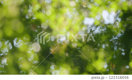 Golden Tree Leaves In Autumn Sunlight. Tree In Autumn Season With Foliage Changing Color. Leaves Texture. Autumn Foliage. Bokeh. Golden Tree Leaves In Autumn Sunlight. Tree In Autumn Season With Foliage Changing Color. Leaves Texture. Autumn Foliage. Bokeh. 122316056