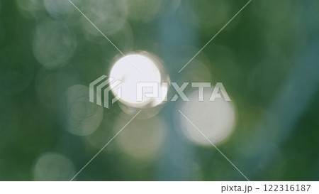 Nature Background. Rays Of Sun Break Through Green Leaves Of Trees. Warm Summer Sunbeams Through Green Tree. Outdoors Sunlight Lens Flare. Bokeh. 122316187