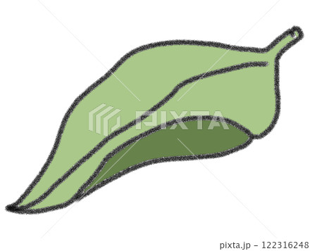 鉛筆風の葉っぱのイラスト 122316248
