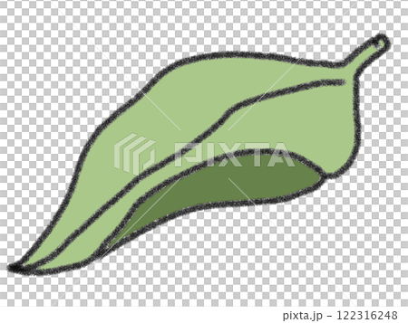 鉛筆風の葉っぱのイラスト 122316248