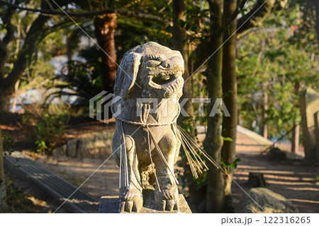 小豆島鹿島大明神参道の狛犬 122316265