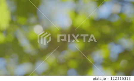 Tree With Green Bright Leaves With Blue Sky At Background. Soft Focus To Fresh Green Leaves Against Blue Sky In Spring Sunny Day. Bokeh. Tree With Green Bright Leaves With Blue Sky At Background. Soft Focus To Fresh Green Leaves Against Blue Sky In Spring Sunny Day. Bokeh. 122316318