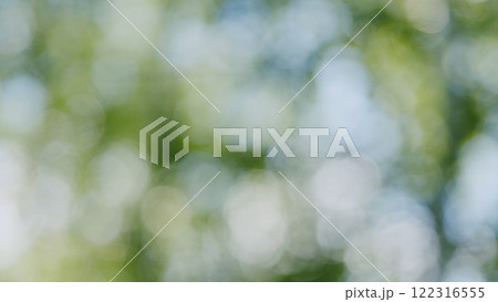 Forest Is A Natural Resource And Place For Recreation. Rich Green Leaves Of A Tree Waving. Travel Vacation Nature Concept. Bokeh. Forest Is A Natural Resource And Place For Recreation. Rich Green Leaves Of A Tree Waving. Travel Vacation Nature Concept. Bokeh. 122316555