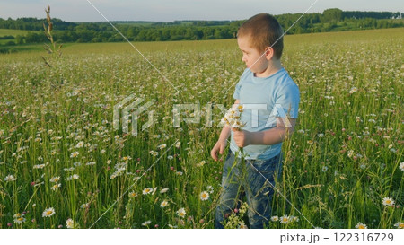Child Collects A Bouquet Of Flowers On Field. Little Boy Picking Flowers Lifestyle. Gimbal Stabilize. 122316729