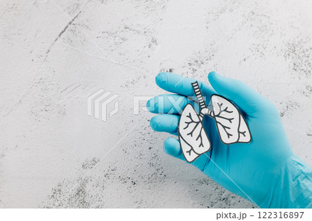 World TB Day concept features lungs paper in gloved doctor hands. World TB Day concept features lungs paper in gloved doctor hands. 122316897