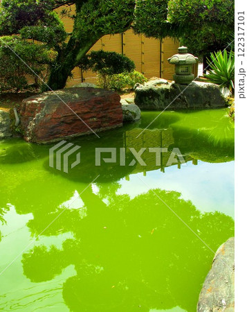 寺の庭園の池風景 寺の庭園の池風景 122317101