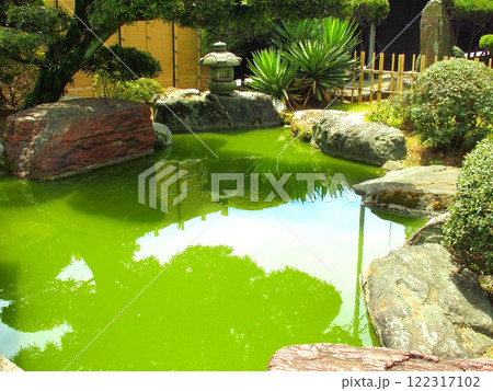 寺の庭園の池風景 寺の庭園の池風景 122317102